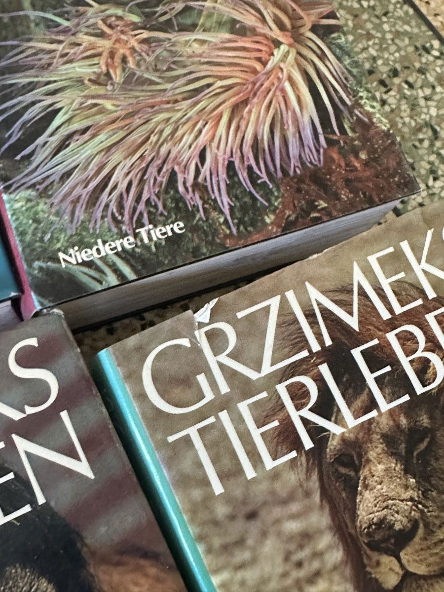 Libri: Grzimeks Tierbücher – Usato da Biel/Bienne venduto da lul_b6yy 2