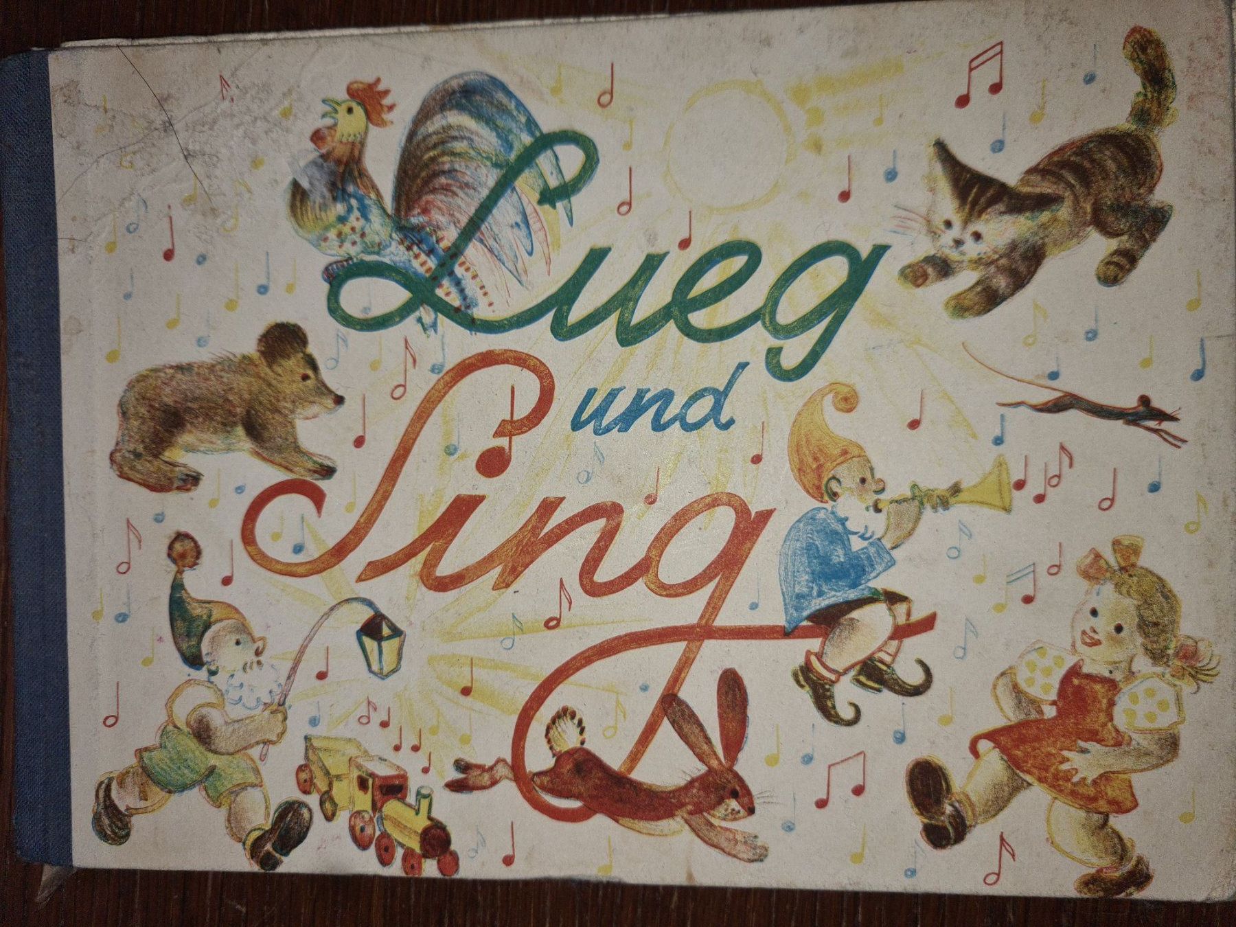 Libri: M. Schelblauer und T. Pfisterer, Lueg und Sing – Usato da Veltheim AG venduto da dunkelwald
