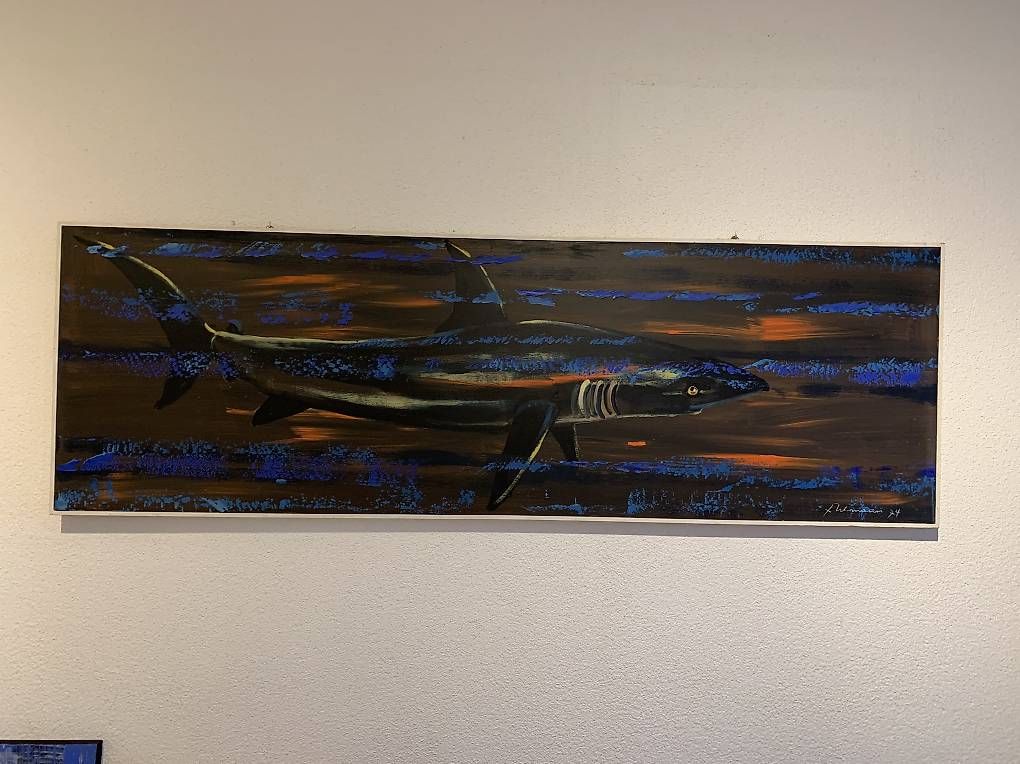 Dipinti: Schwarzhai - Ölbild – Usato da Zuckenriet venduto da Delta31