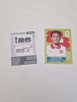 Panini Sticker TUN19