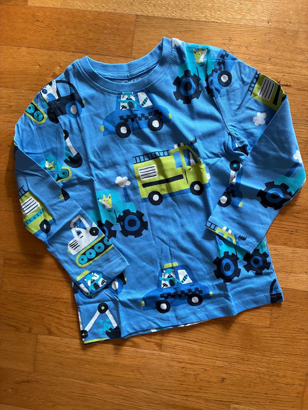 Maglioni & Felpe: Schönes Langarmshirt Gr. 110, Neu – Nuovo (secondo la descrizione) da richterswil venduto da lunamarie001