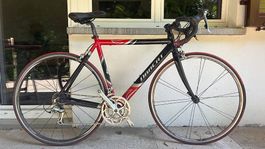 Rennvelo Dracat Alu7005 Superior  Shimano 105  54 cm