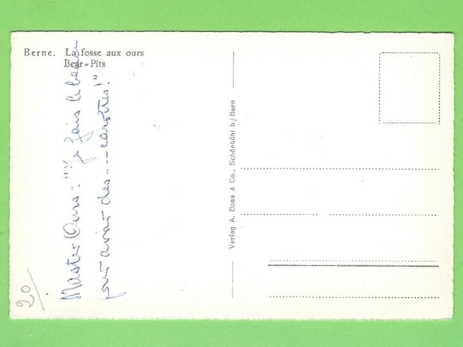 Cartoline postali: Bern der Bärengraben – Usato da Zürich venduto da t24_de 1