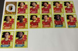 Panini WM 2026 - Belgien Set 14 Stk. Inklusive Wappen
