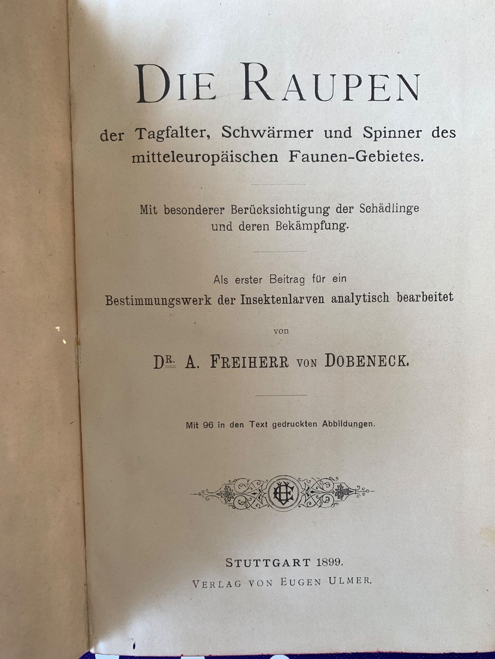 Libri: Antikes Buch Die Raupen 1899 – Usato da Basel venduto da Akinom50 1