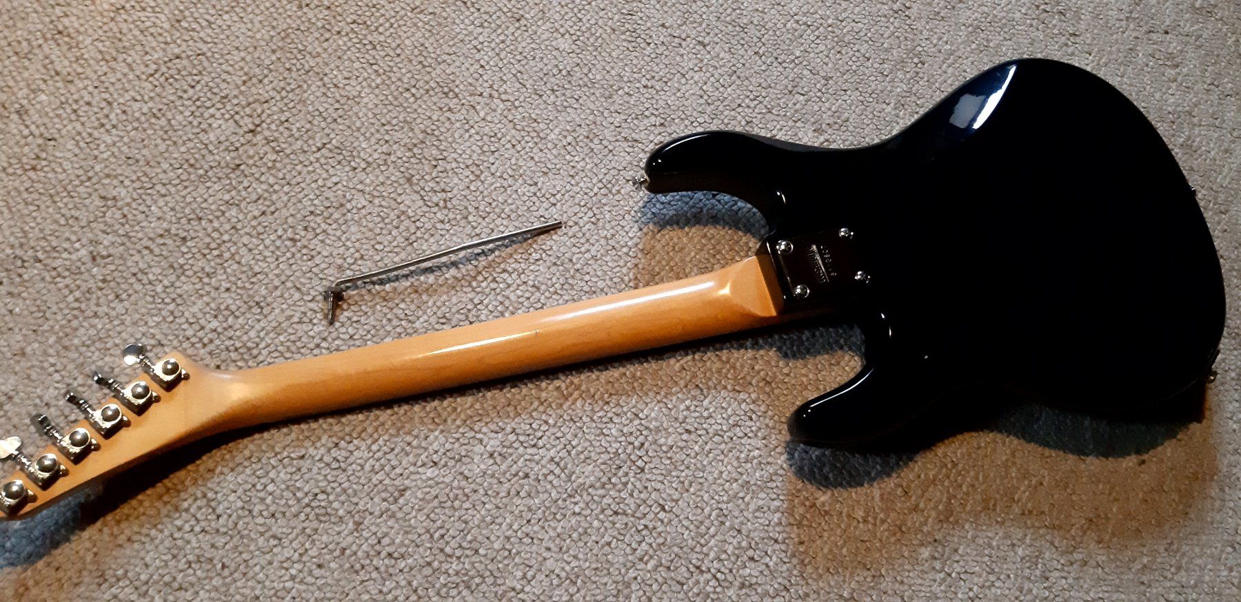 Washburn Strumenti musicali: Washburn 2GV – Usato da Solothurn venduto da Exon 3