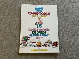 Asterix Buch Comment Obelix est tombe dans la……