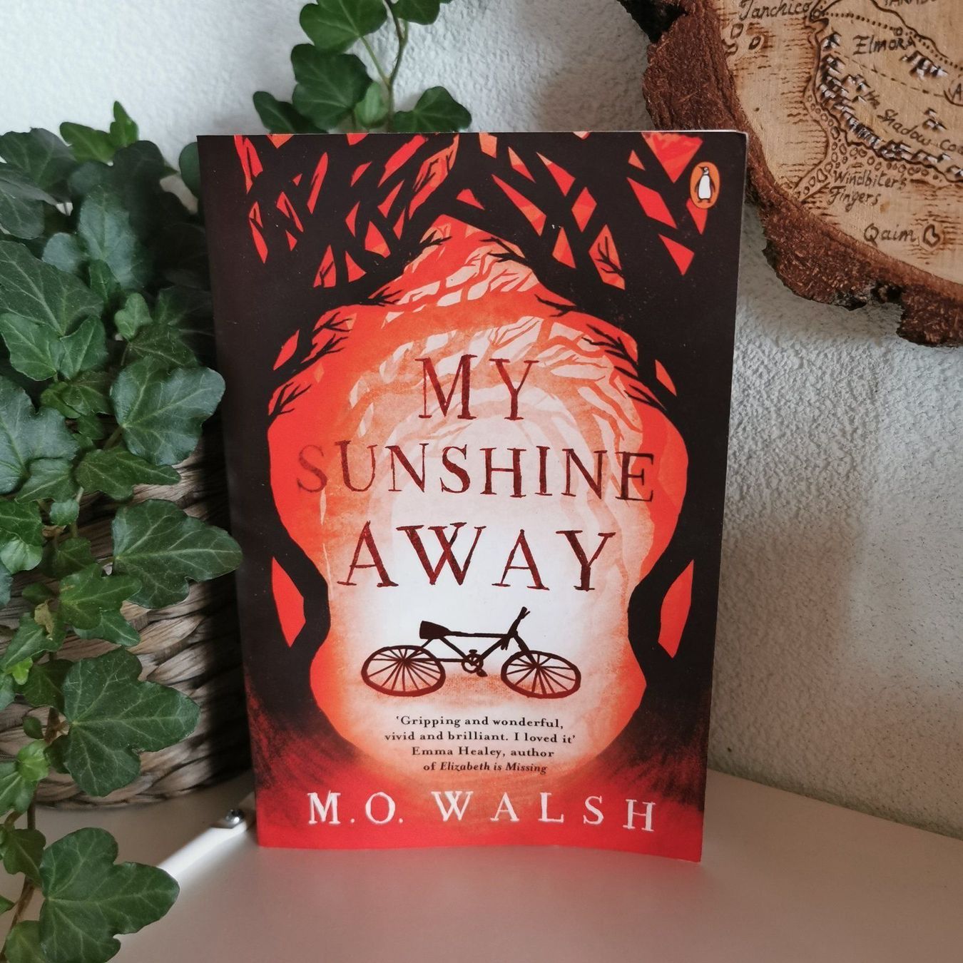 Libri: My Sunshine Away - M.O Walsh – Usato da Veytaux venduto da lelivreouvert