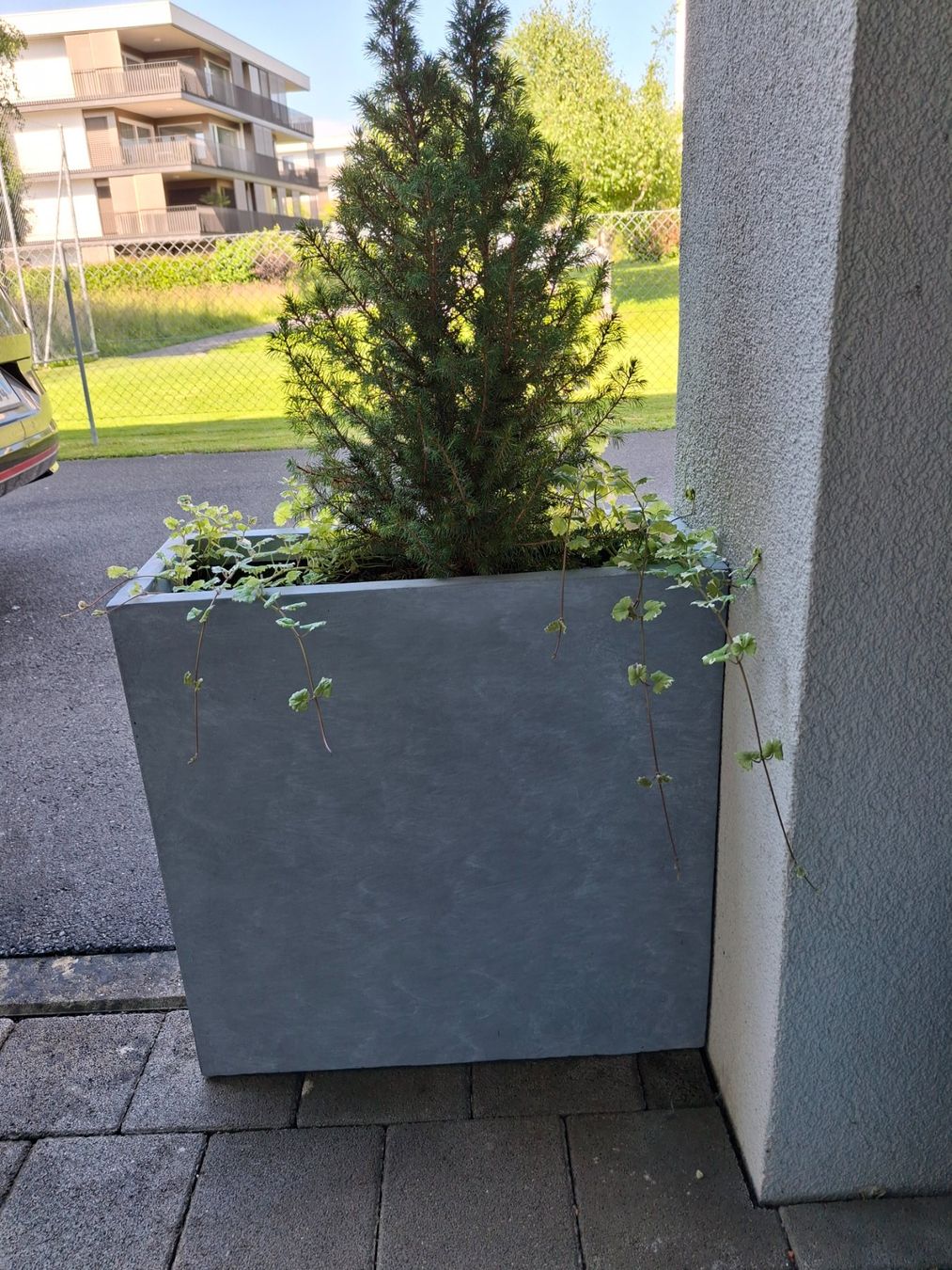 Blumentöpfe: Blumentopf, Pflanzkübel, Sichtschutz - grau – Gebraucht aus Emmenbrücke von ruf_fsy9 1