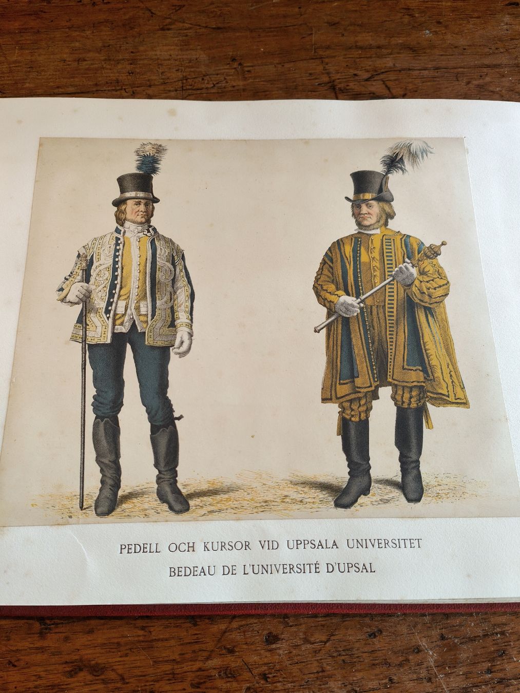 Bücher: souvenirs musée du nord  – Gebraucht aus Meyrin von olico01 3