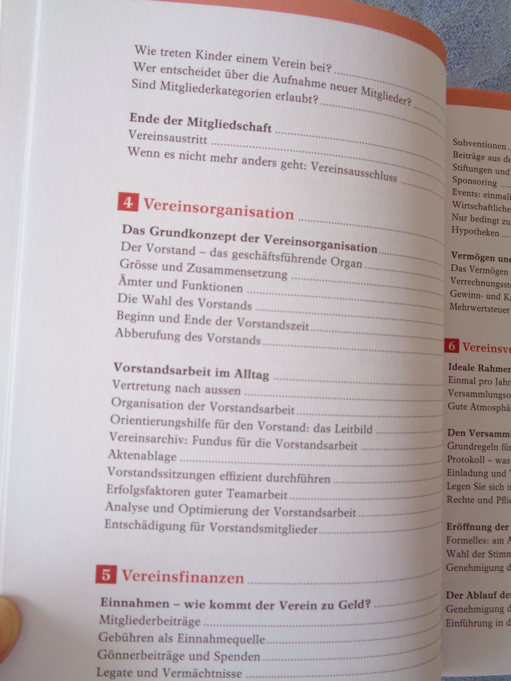 Libri: Erfolgreich im Verein. Daniel Leiser – Nuovo (secondo la descrizione) da Wiesendangen venduto da Gullfoss 3