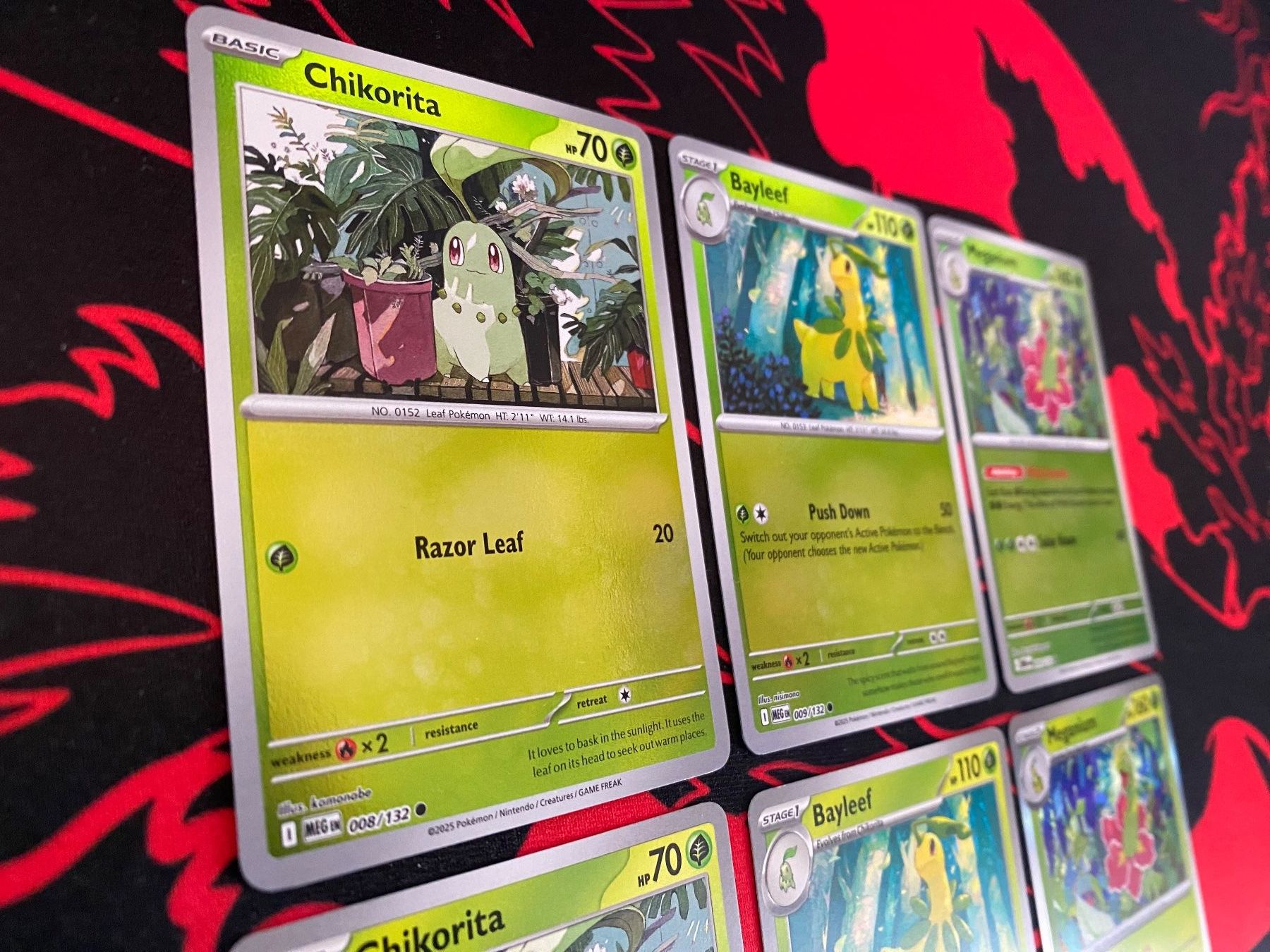 Pokémon Carte collezionabili: Mega Evolutions - Maganium evolutions (Basic + R.Holo) set – Nuovo (secondo la descrizione) da Winterthur venduto da PikaPoki 1