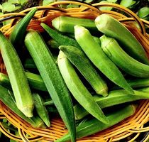 20 SAMEN OKRA GOMBO GOMBEAU GOMBAULT Afrika