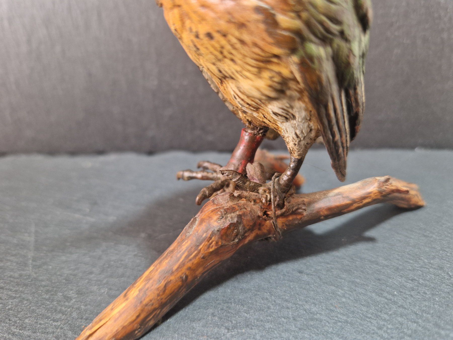 Figuren: Bemalte Bronze-Figur Eisvogel (Defekt) – Gebraucht aus Winterthur von Sadega 2