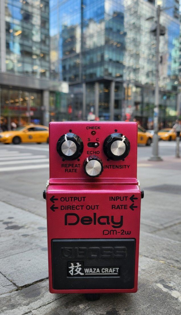 Boss Strumenti musicali: Boss Delay Pedal DM-2w Waza Craft – Usato da Zürich venduto da Hug1971 2