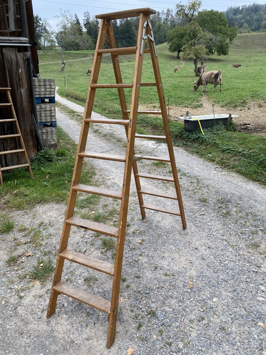 Leitern: Bockleiter Holzleiter Deko – Gebraucht aus Rüti ZH von Muck99