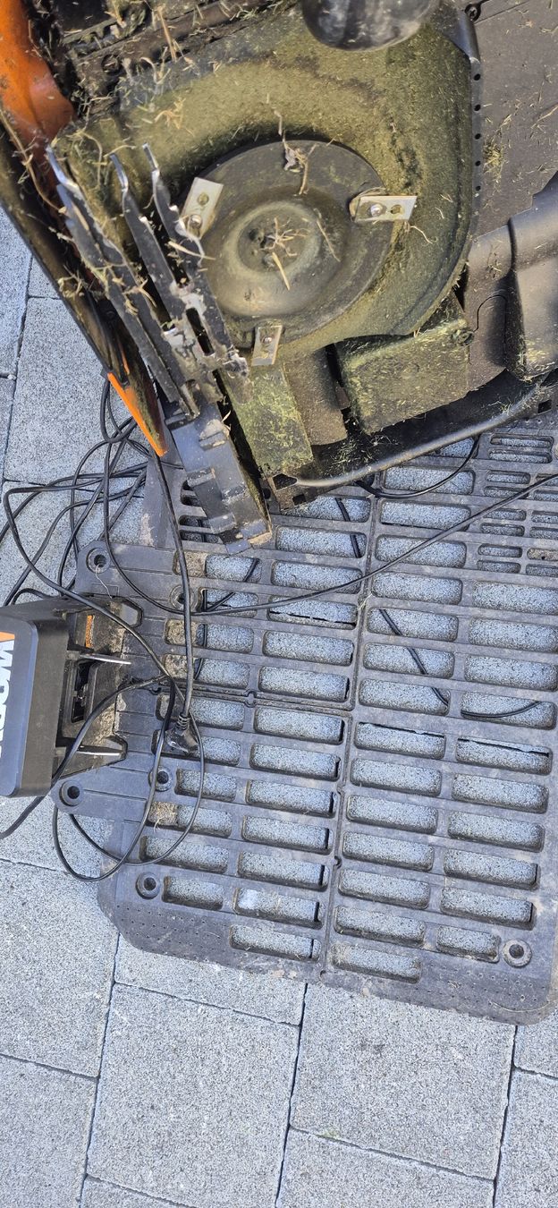 Worx Tondeuses à gazon: Worx WR165 E – D'occasion à Grenchen par Heja1604 2