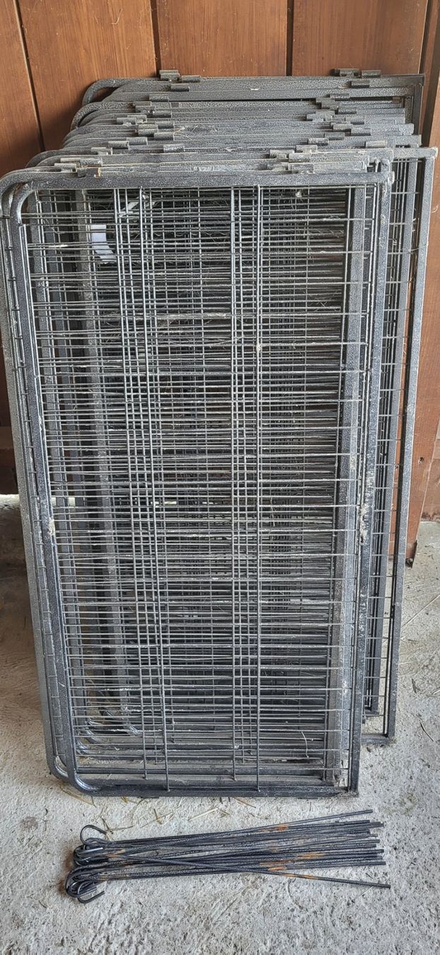 Gabbie, trasporto & Sicurezza: Welpengitter, Metall Zaun – Usato da Ossingen venduto da Dimora 1