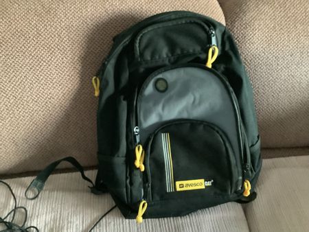 Rucksack cat
