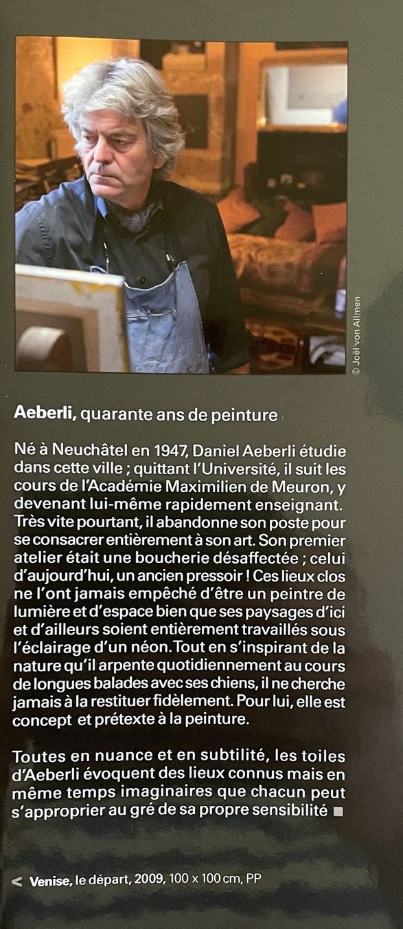 Libri: Daniel Aeberli - Quarante ans de peinture – Usato da Savagnier venduto da Ne2065 1