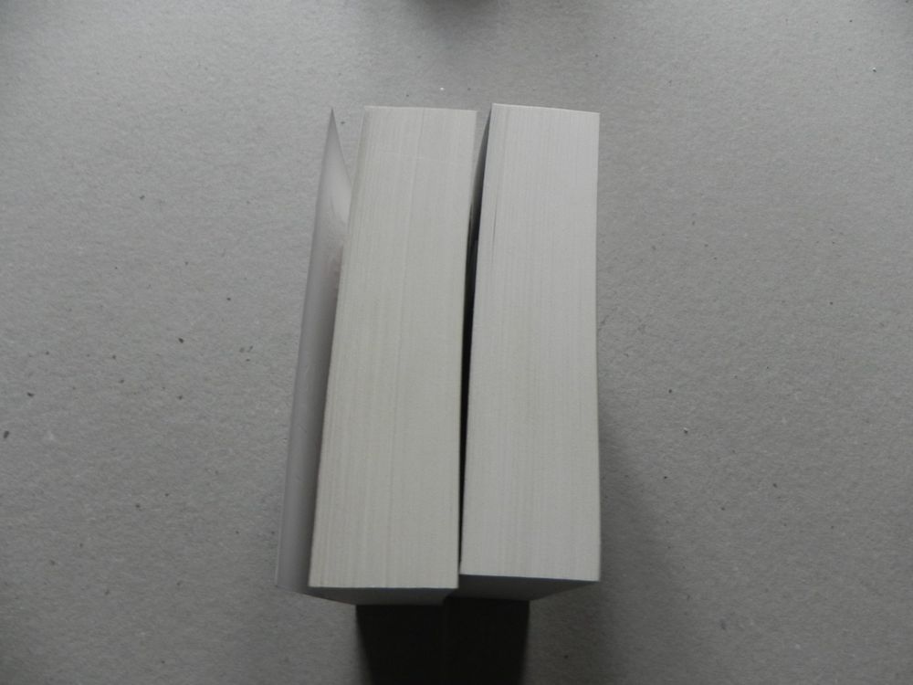 2 Bücher Zwerge Triumph & S.