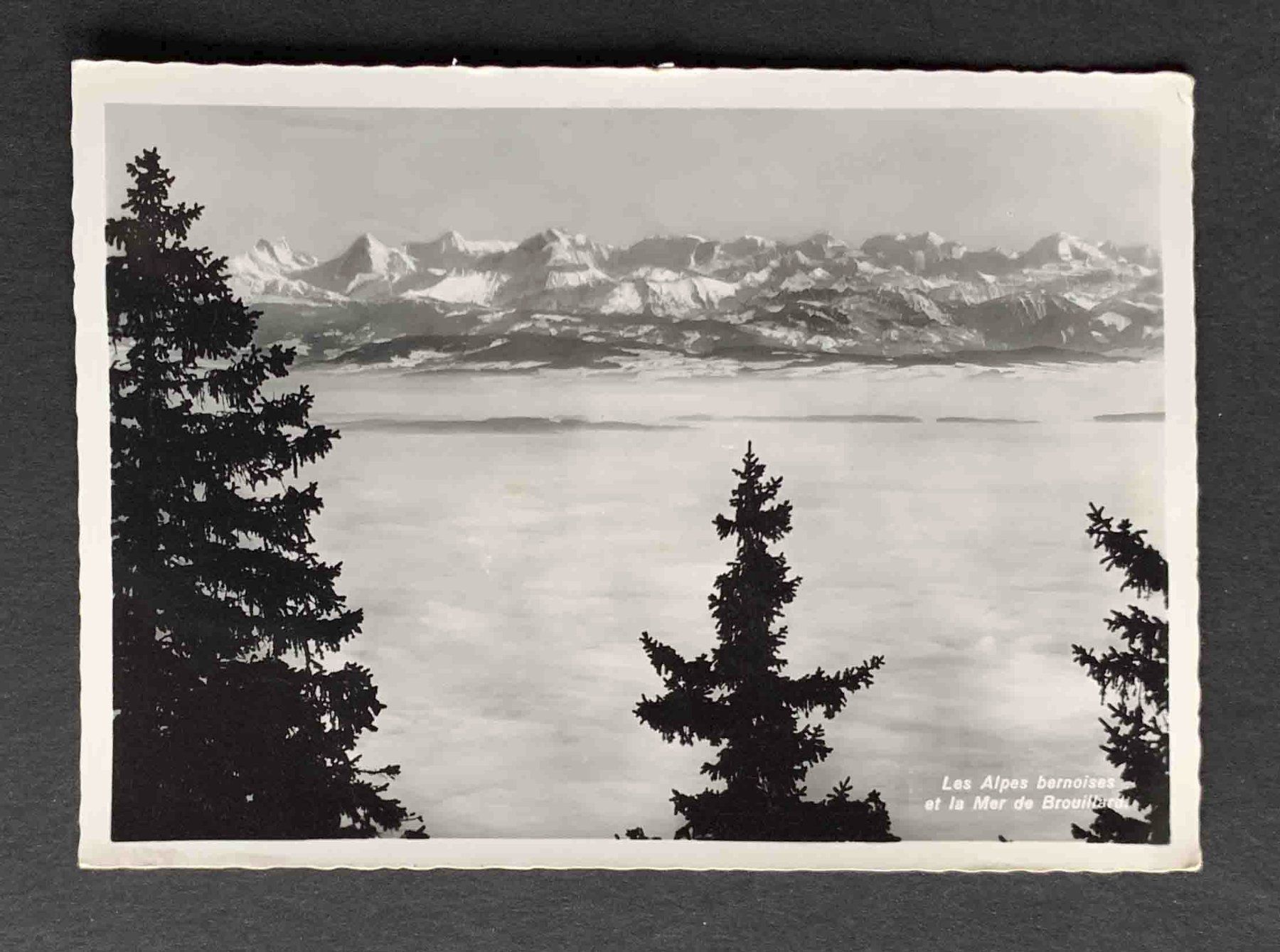 Cartoline postali: AK Les Alpes bernoises – Usato da Goldau venduto da artelier1