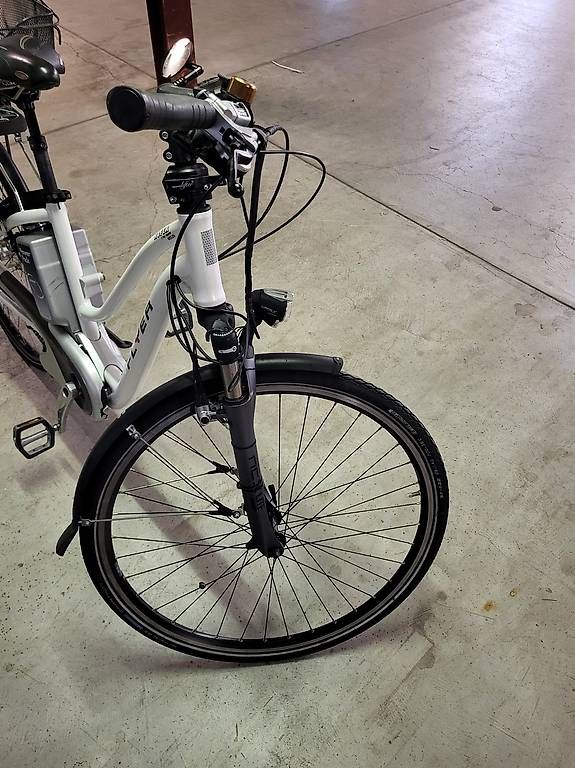 Biciclette: Flyer elektro Velo 45km/h – Usato da Stäfa venduto da alexkraljevo 4