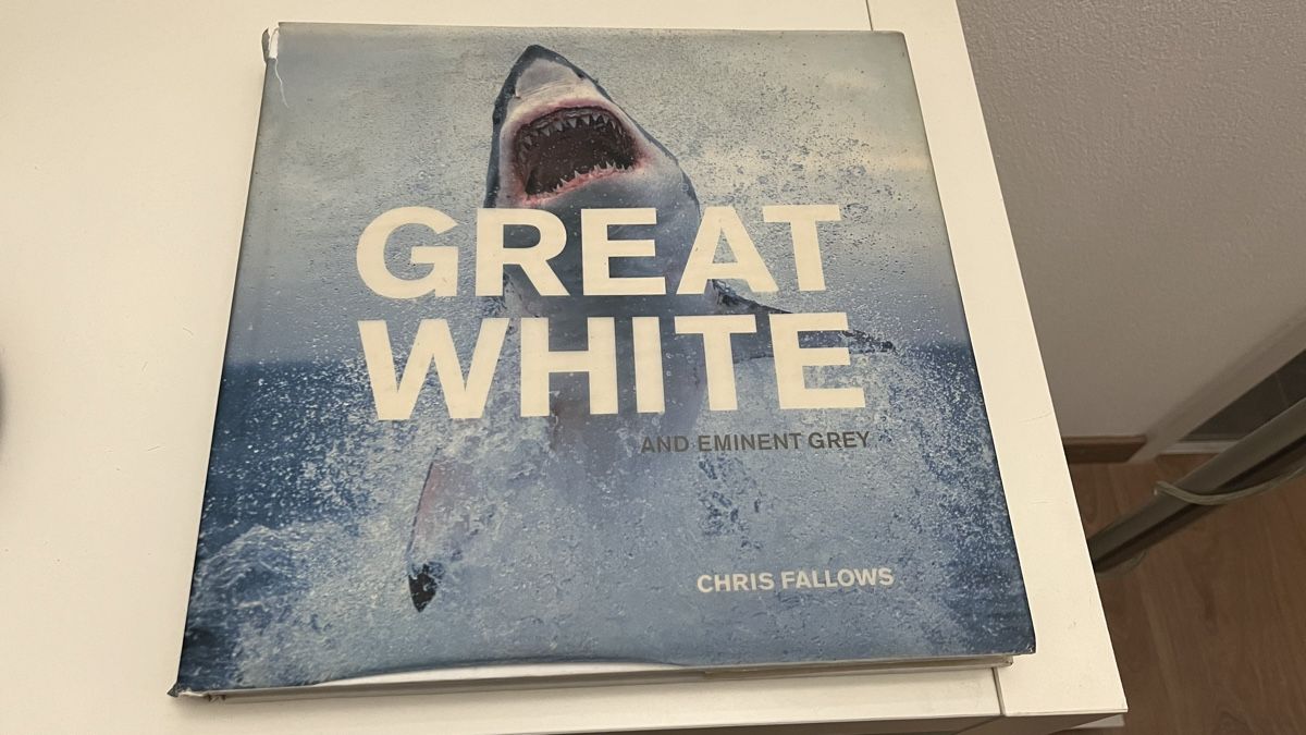 Bücher: Great White Shark – Gebraucht aus Wallisellen von S_lb 1