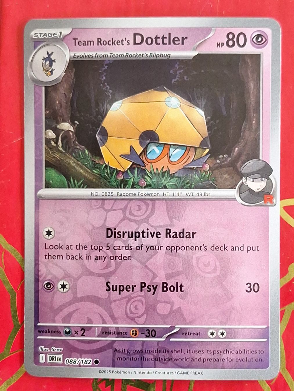 Pokémon Carte collezionabili: Team Rocket's Dottler - Reverse Holo Destined Rivals – Usato da Altstätten SG venduto da GGsGameshop
