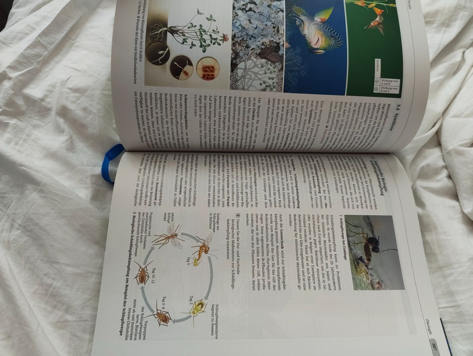 Livres: Biologie Heute, S11 – D'occasion à Düdingen par nin_c7vq 4