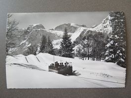 BRAUNWALD - FUNI
