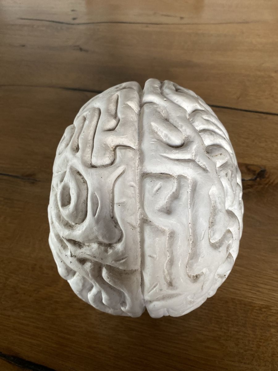 Skulpturen & Statuen: Gehirn / Kunstobjekt – Gebraucht aus Zimmerwald von Holzdata1 2