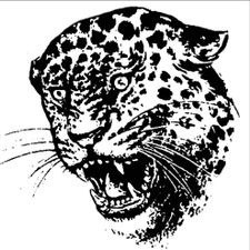 Profile image of niv_8lhg