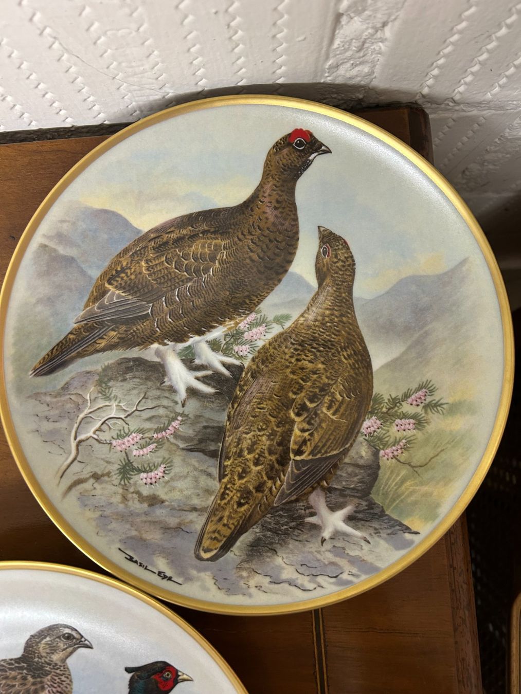 Teller: Les Oiseaux Sauvages Du Monde – Neu (gemäss Beschreibung) aus Gümligen von chrigirici 8