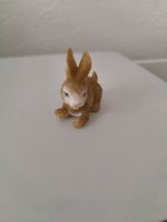 Hase