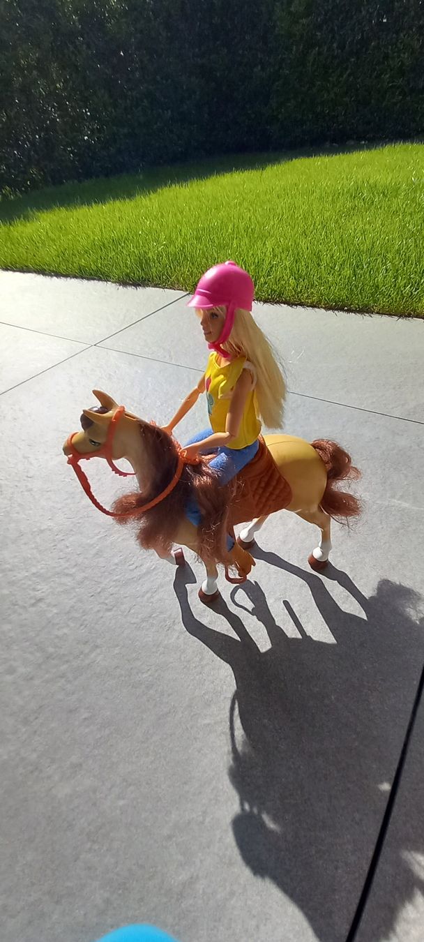 Giocattoli: Barbie Pferde sett – Usato da Bünzen venduto da kalink 4