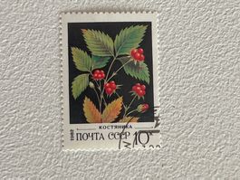 CCCP Briefmarke ab 0.90 CHF !!!