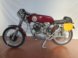Ducati 250 sport - Bergrennen