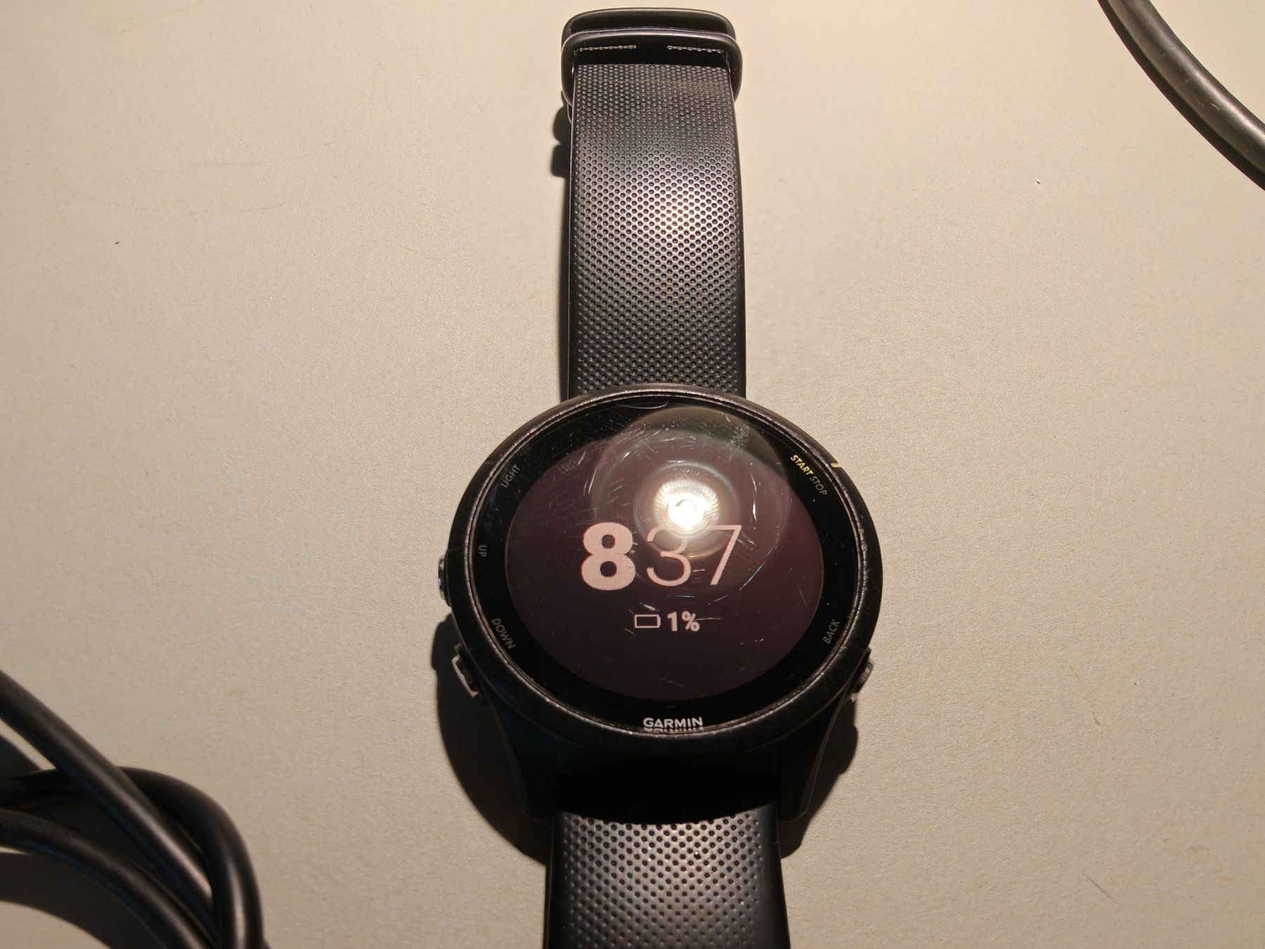 Garmin Smartwatch: Garmin Forerunner 255 Music – Gebraucht aus Zürich von Oigres03 3
