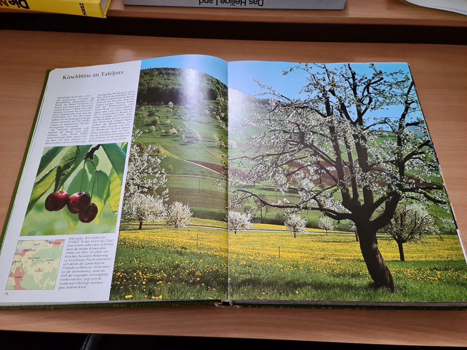 Libri: Naturparadies Schweiz – Usato da Erstfeld venduto da Mario_boe0 2