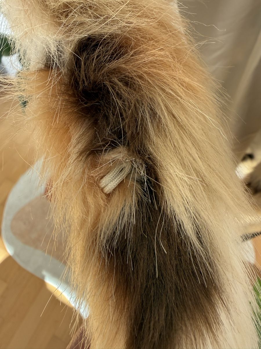 Giacche: MISS SELFRIDGE faux fur jacket – Nuovo (secondo la descrizione) da Bern venduto da flordelis_ch 3