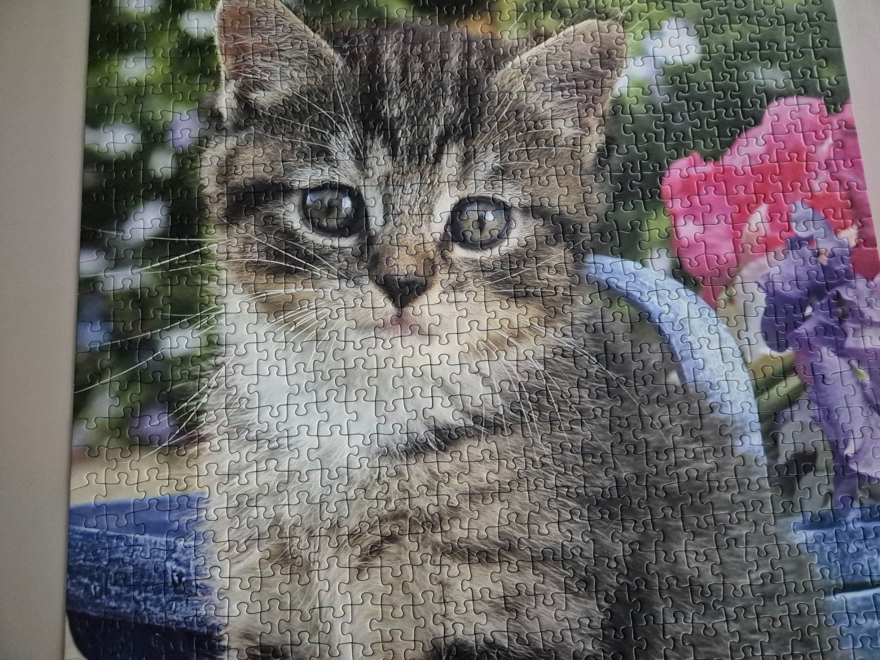 Ravensburger Puzzle: Katzen Puzzle, Ravensburger, 1000 Teile – Usato da Tecknau venduto da servus4492 4