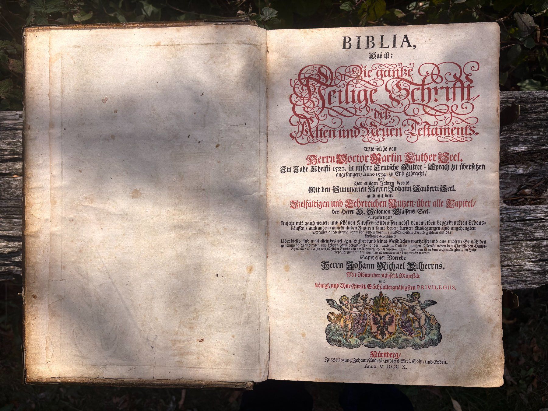 Bücher: Endterische Holzschnitt-Bibel – Gebraucht aus Stüsslingen von Ideur1 1