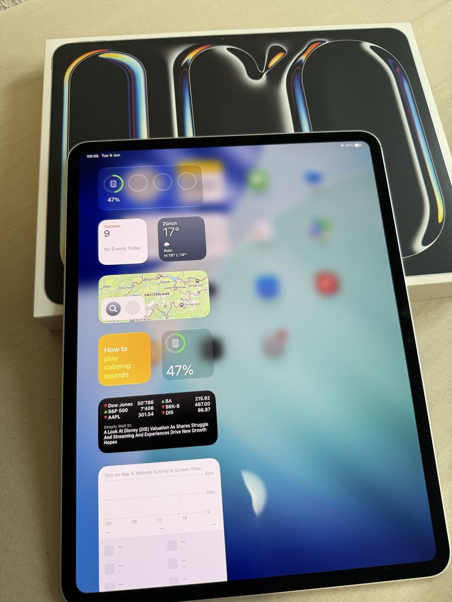 Apple Tablet PC: iPad Pro M5, 13 Zoll 256GB, Silber – Usato da Interlaken venduto da shoresh72 3