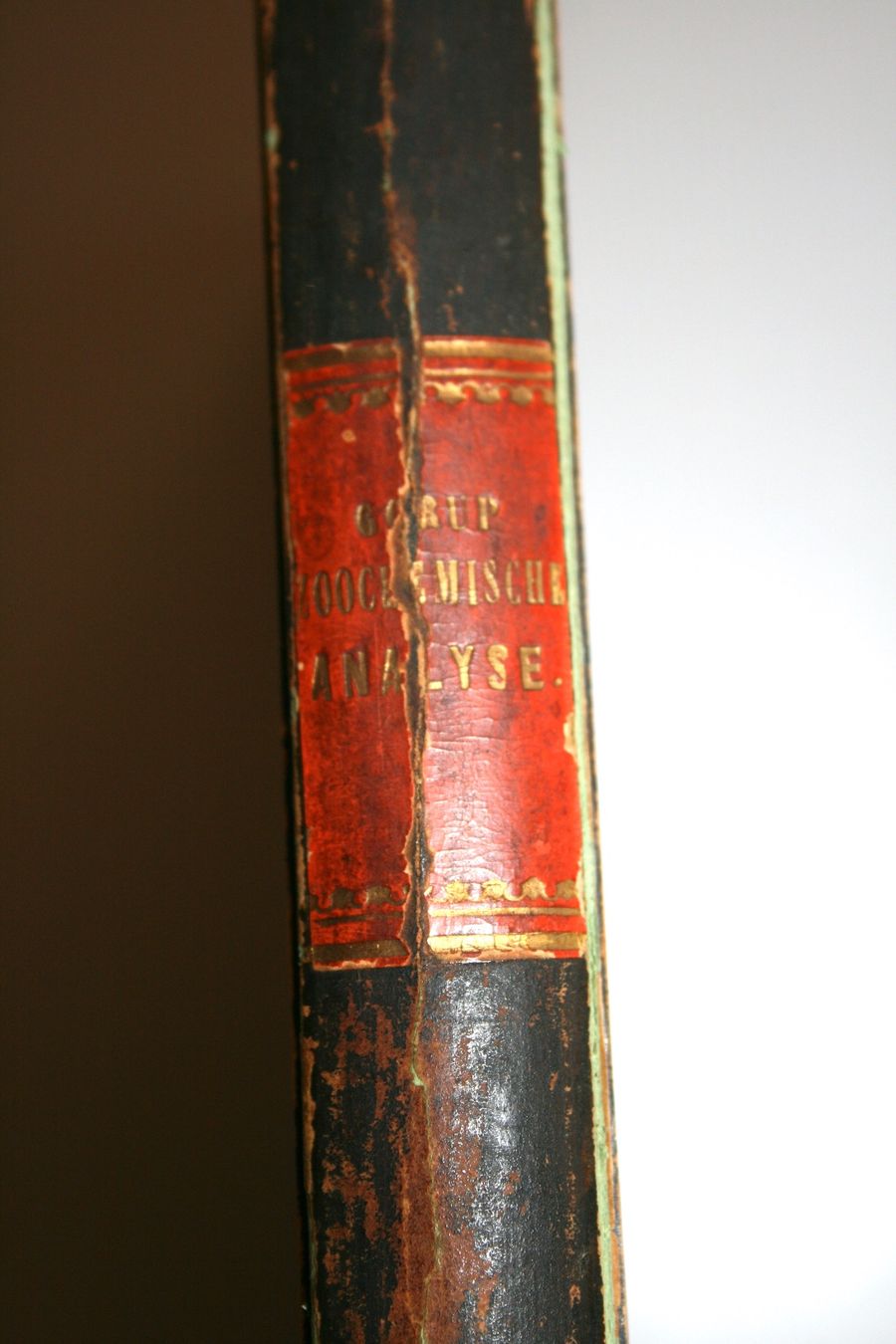 Libri: Gorup-Besanez: Zoochemische Analyse, Holzschnitte, 1854 – Usato da Schaffhausen venduto da Kartenprofi 8