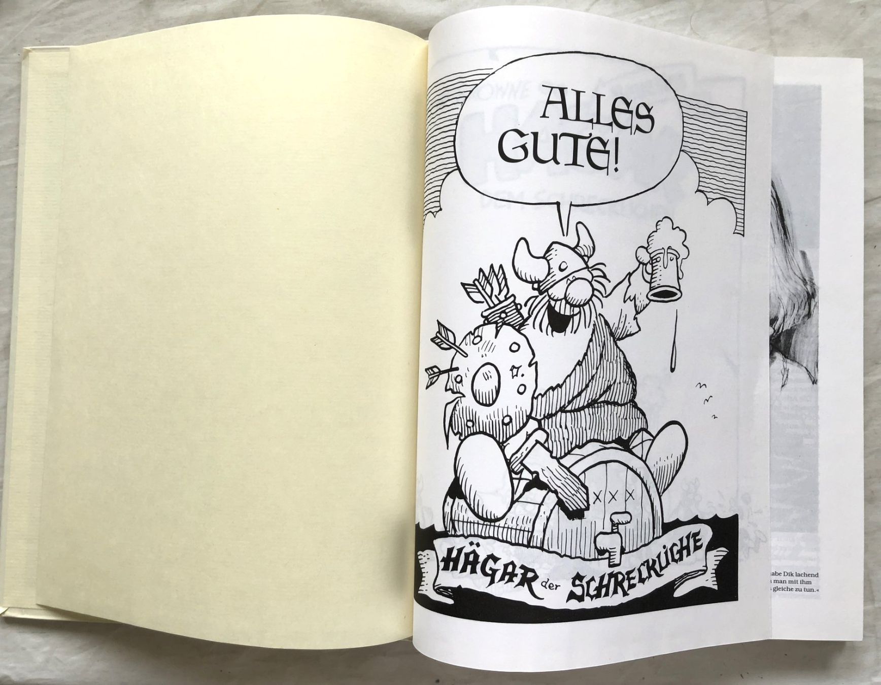 Comics: Neuestes von Hägar dem Schrecklichen – Gebraucht aus Schaffhausen von durruti 1