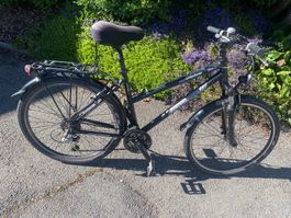 Canyon SportPlus 26" Velo