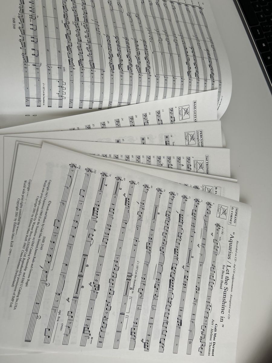 Billets de banque: Brass Band Noten Hair – Neuf (Voir description) à Galgenen par Red27 1