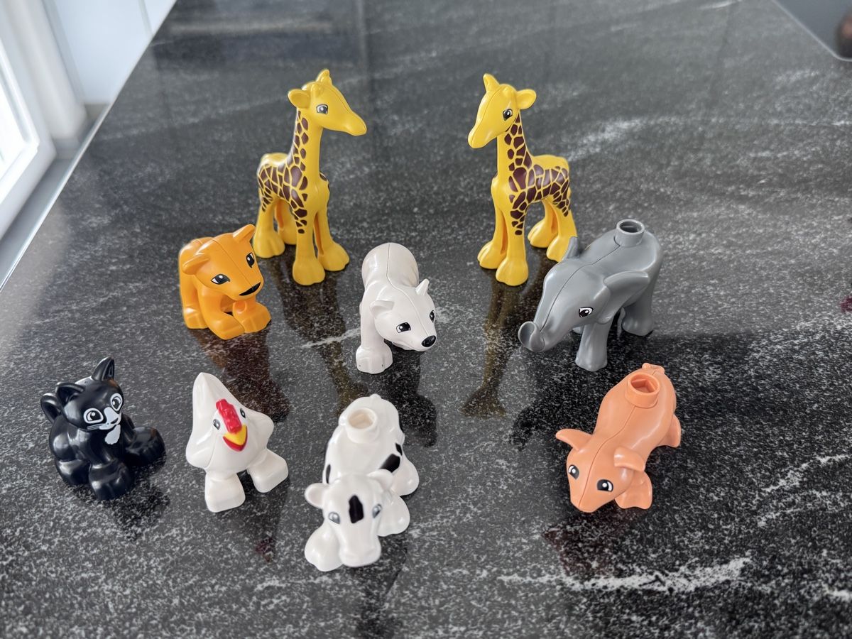 Lego Giocattoli: Duplo Bausteine und Tiere – Usato da Wiesendangen venduto da Biker39 4