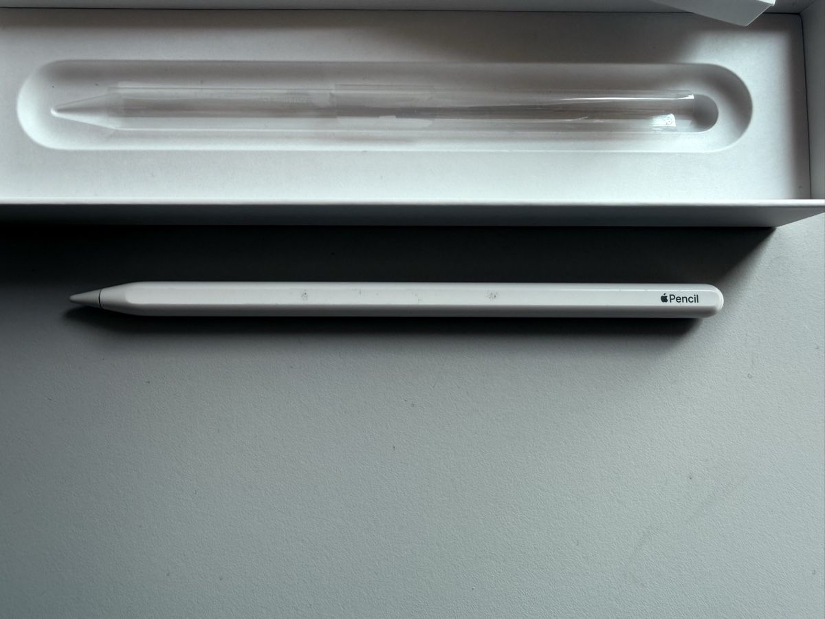 Penna & Evidenziatori: Apple Pencil 2nd Generation – Usato da Oberwil BL venduto da dur_c9mp 6